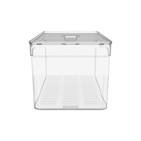 Organizador De Geladeira Com Tampa Clear Fresh 30 x 15 x 13 cm